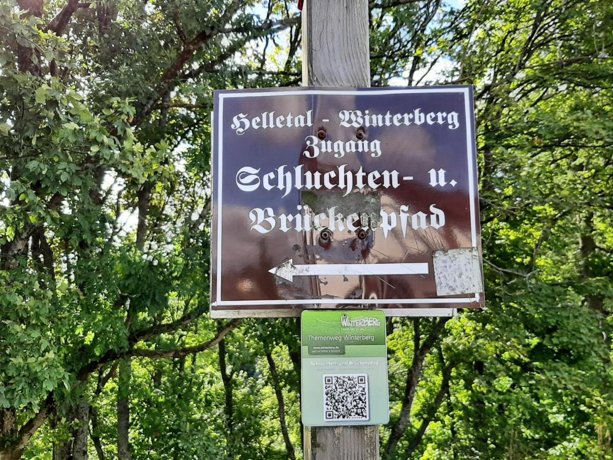 ווינטרברג Ferienwohnung Zeitlos, Gigantischer Seeblick, Wlan, Gerne Mit Hund מראה חיצוני תמונה